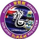 Purple Dragon School Of Martial Arts