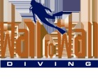 Wall to Wall Diving